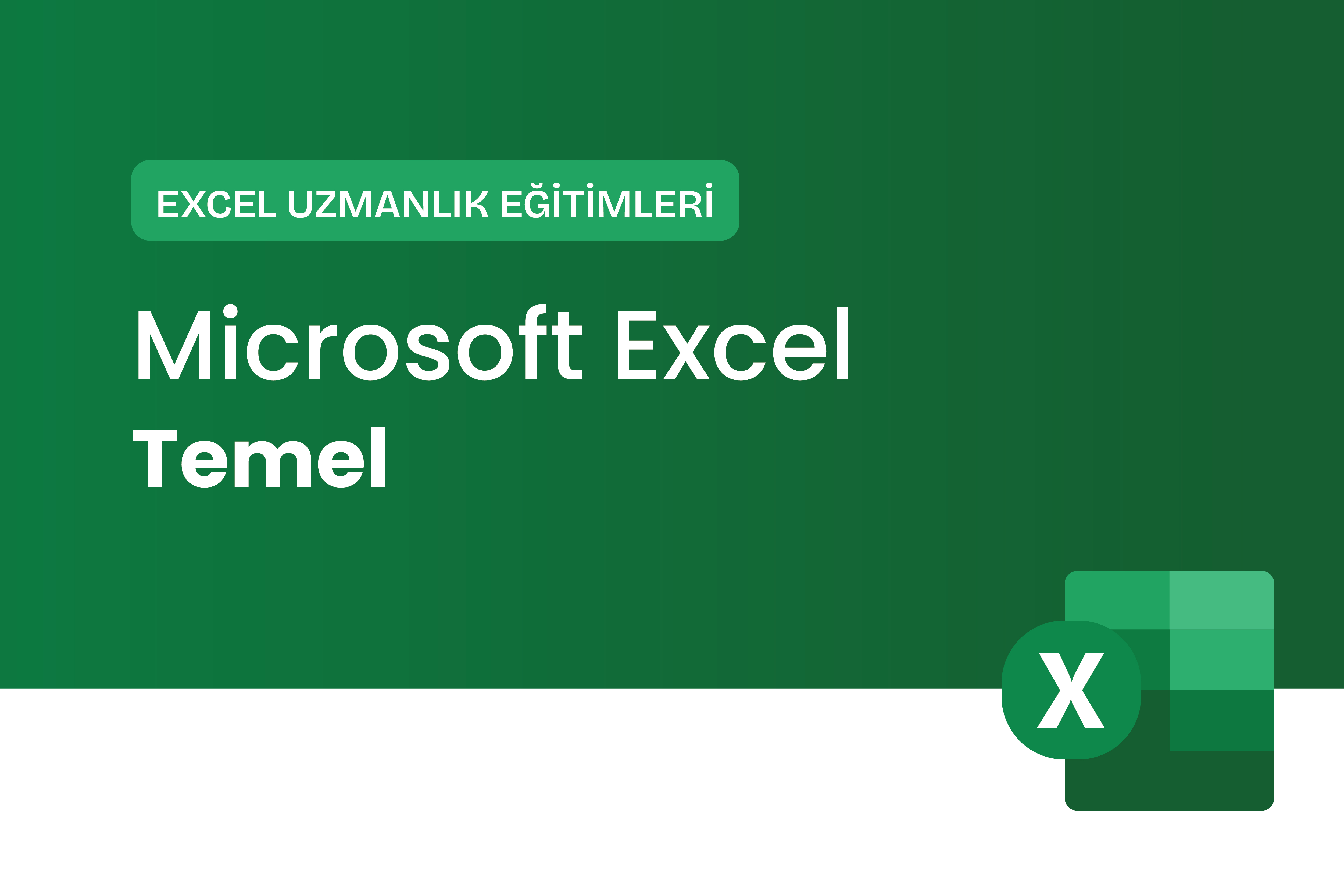 Microsoft Excel Temel Seviye Eğitimi	