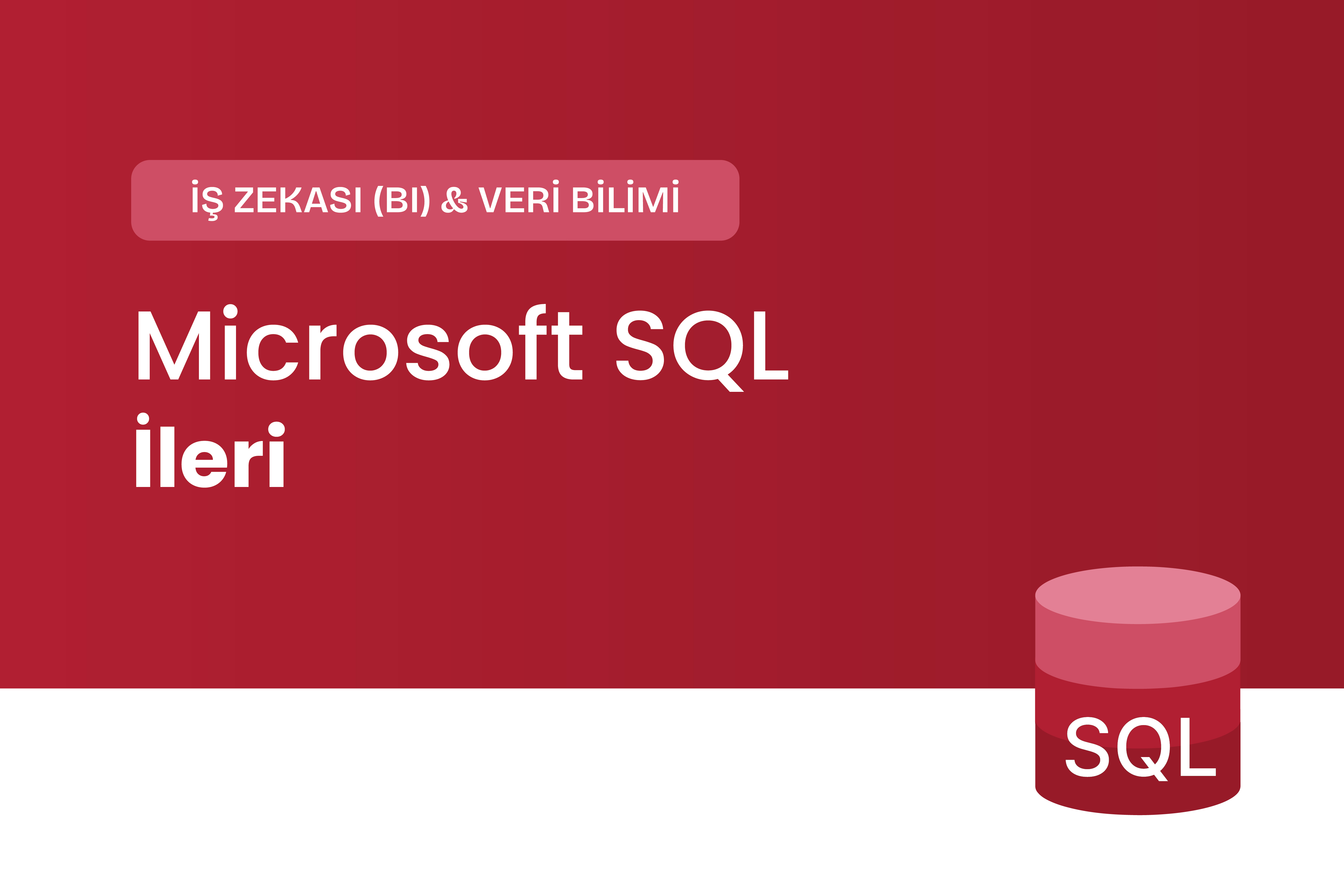 SQL Sorgulama İleri Eğitimi