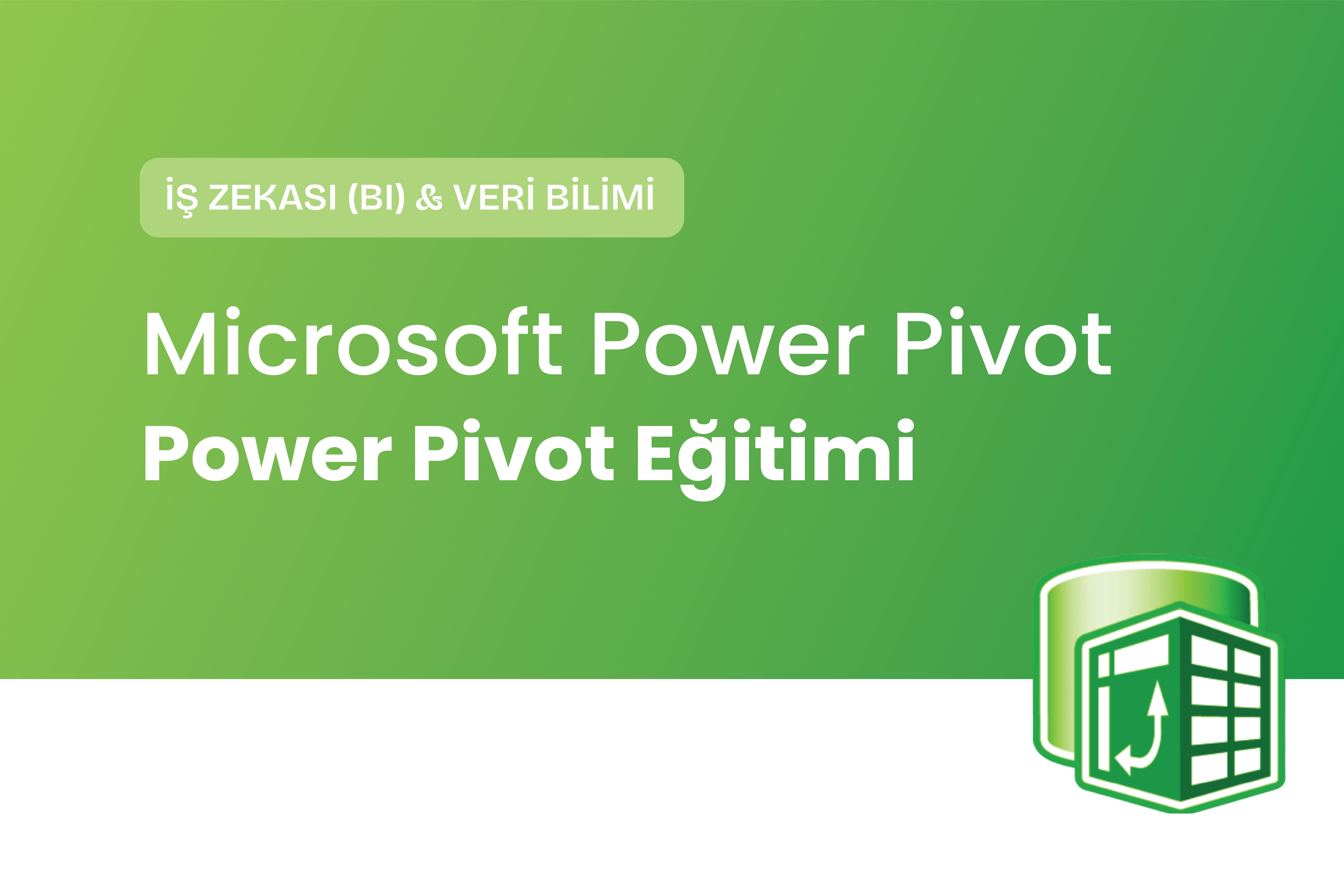 Microsoft Power Pivot Veri Analizi Eğitimi