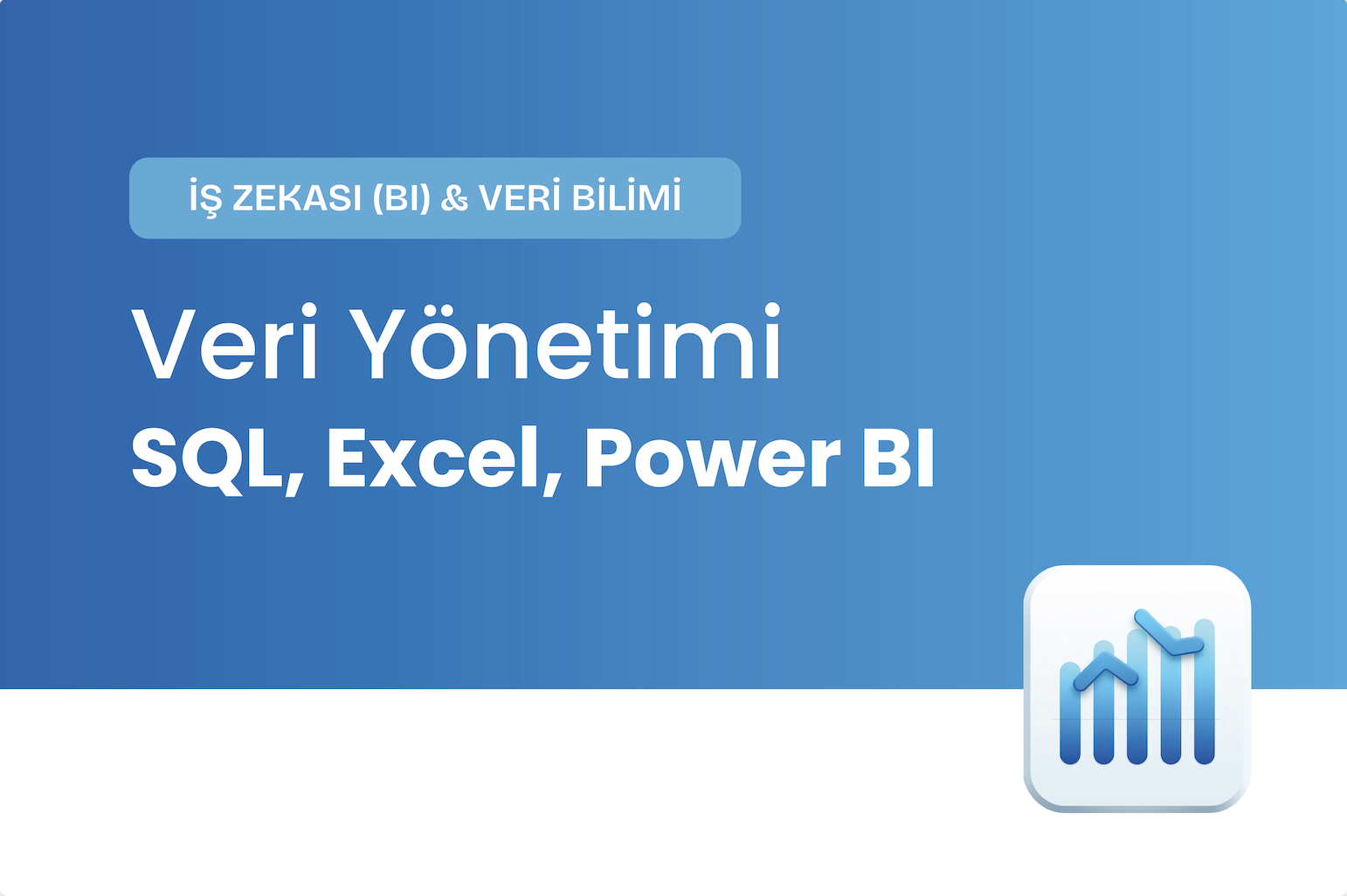 Veri Yönetme, Analiz, Raporlama ve Görselleştirme Eğitimi