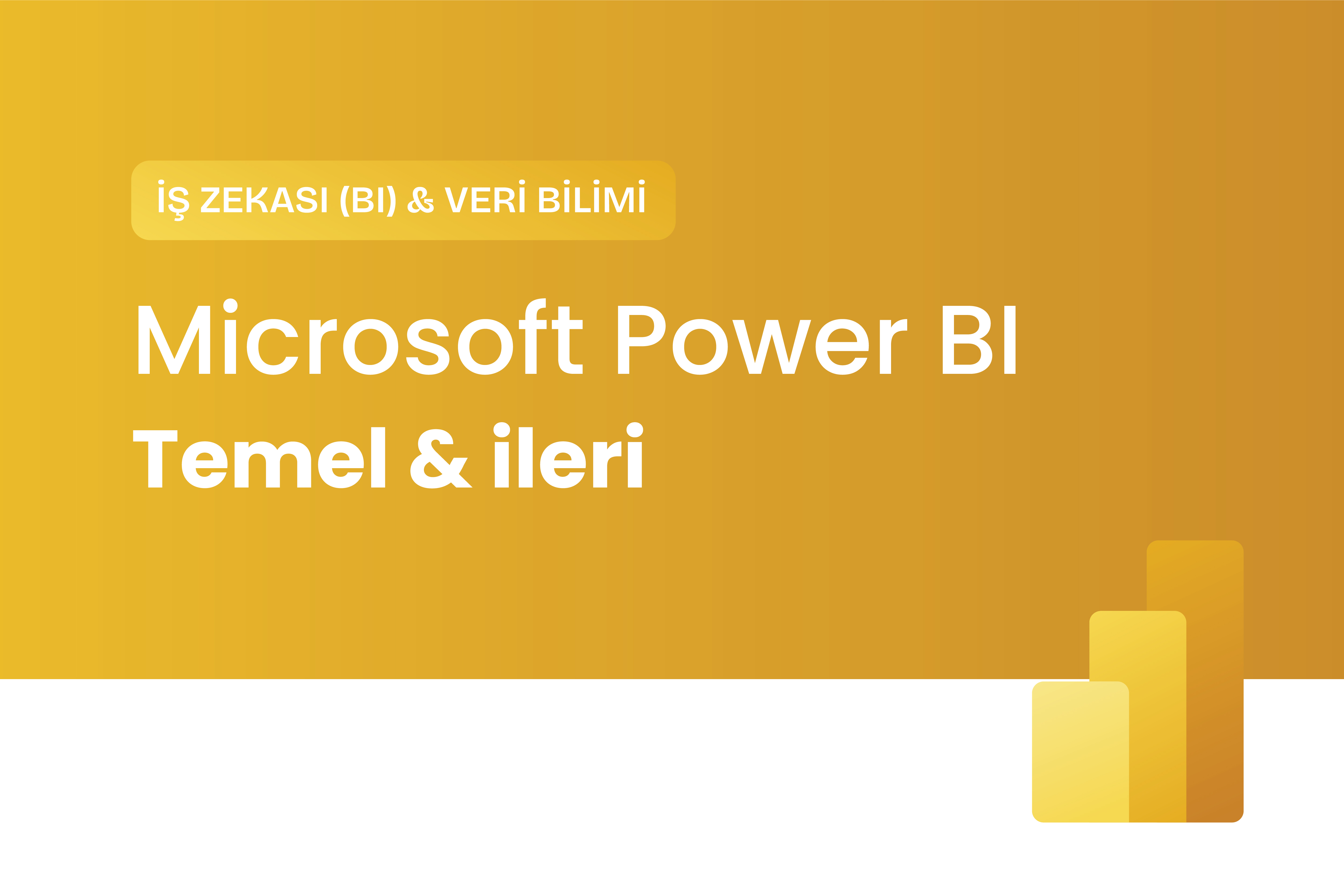 Microsoft Power BI Temel & ileri Eğitimi