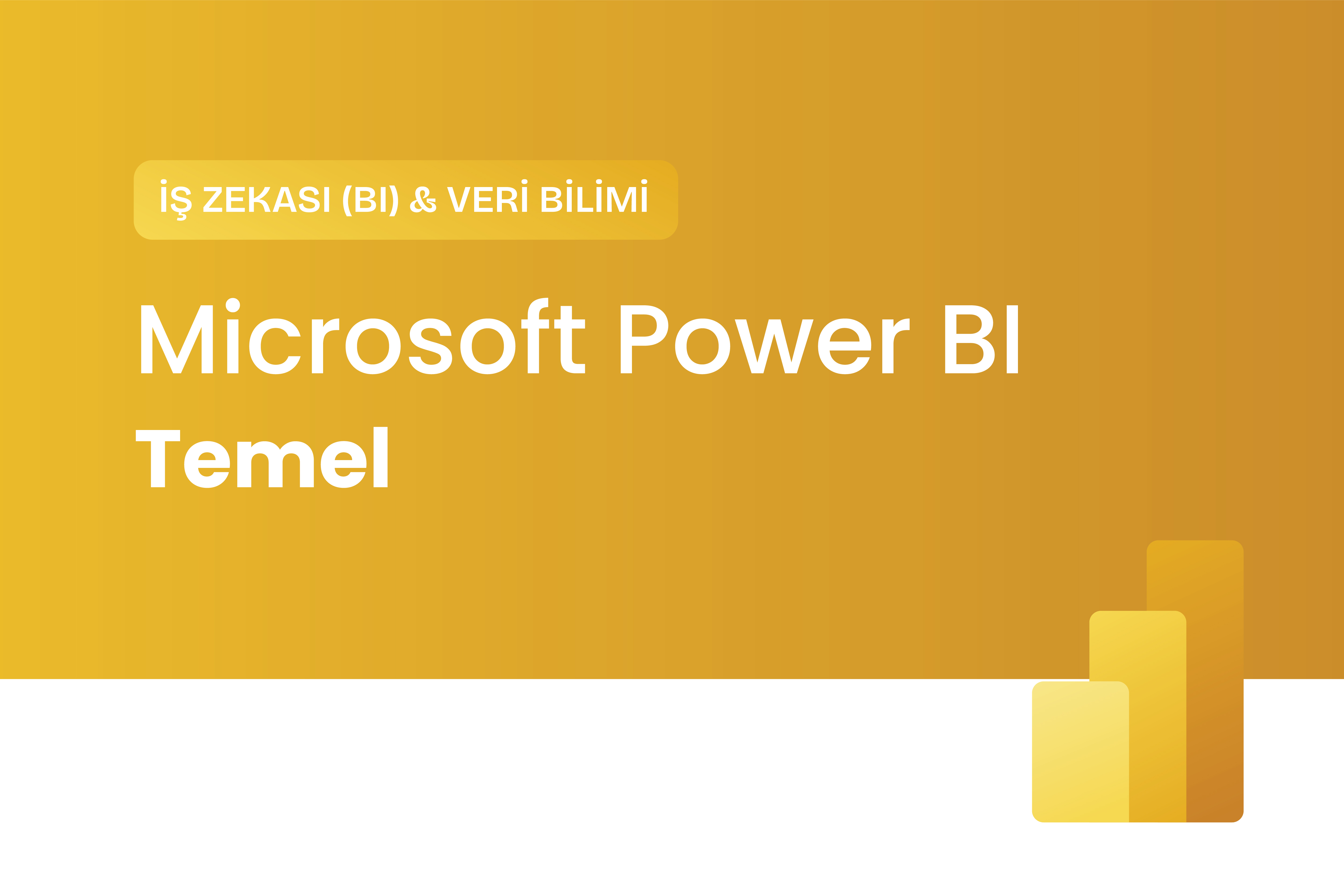 Microsoft Power BI Temel Eğitimi