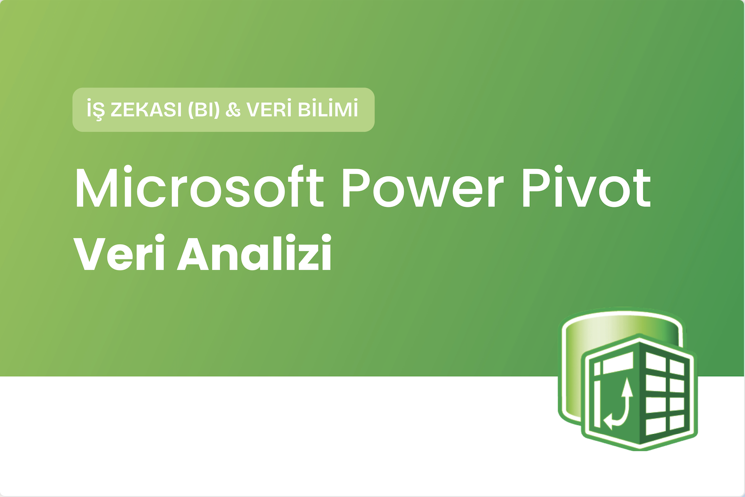 Microsoft Power Pivot Veri Analizi Eğitimi