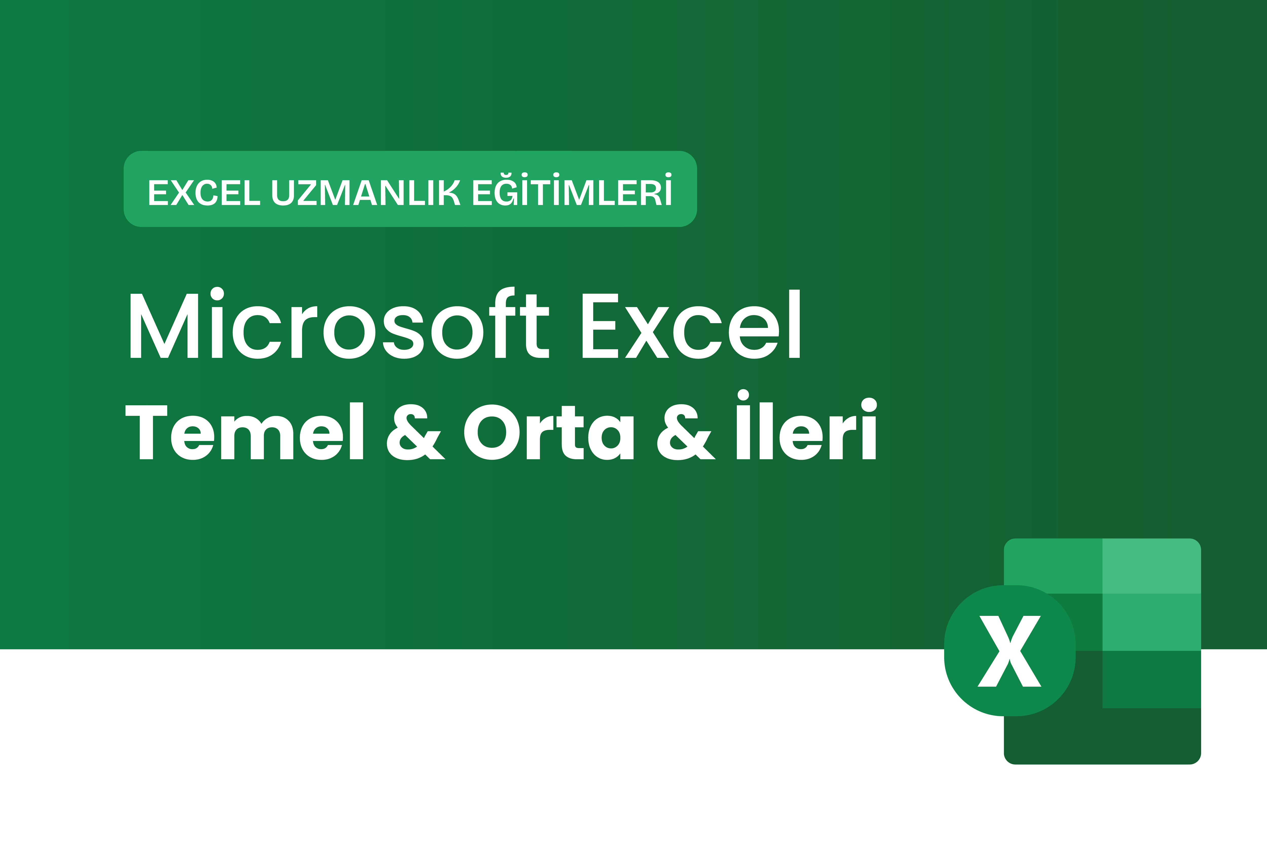 Microsoft Excel Temel & Orta & İleri Eğitimi