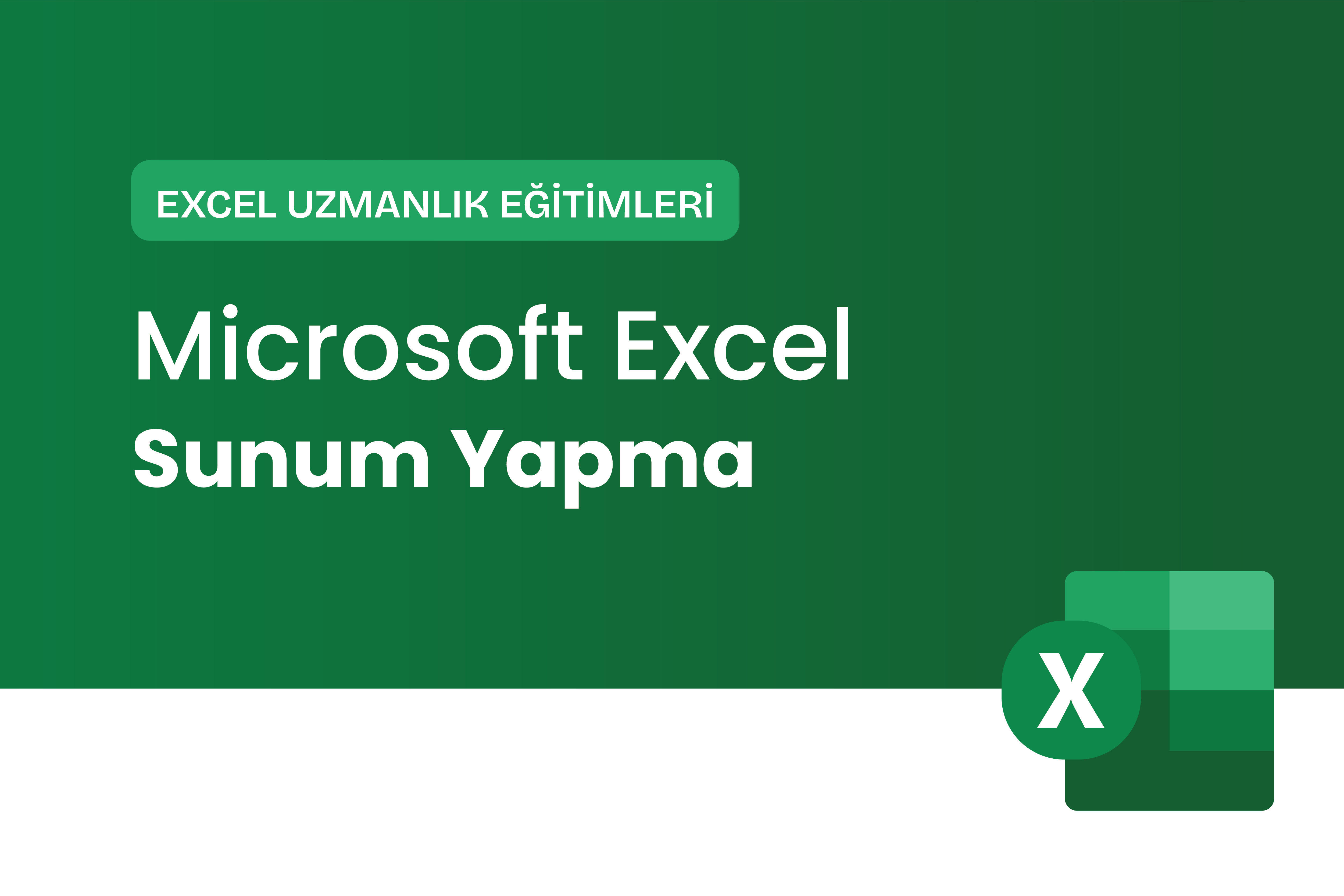 Microsoft Excel ile Sunum Yapma Eğitimi
