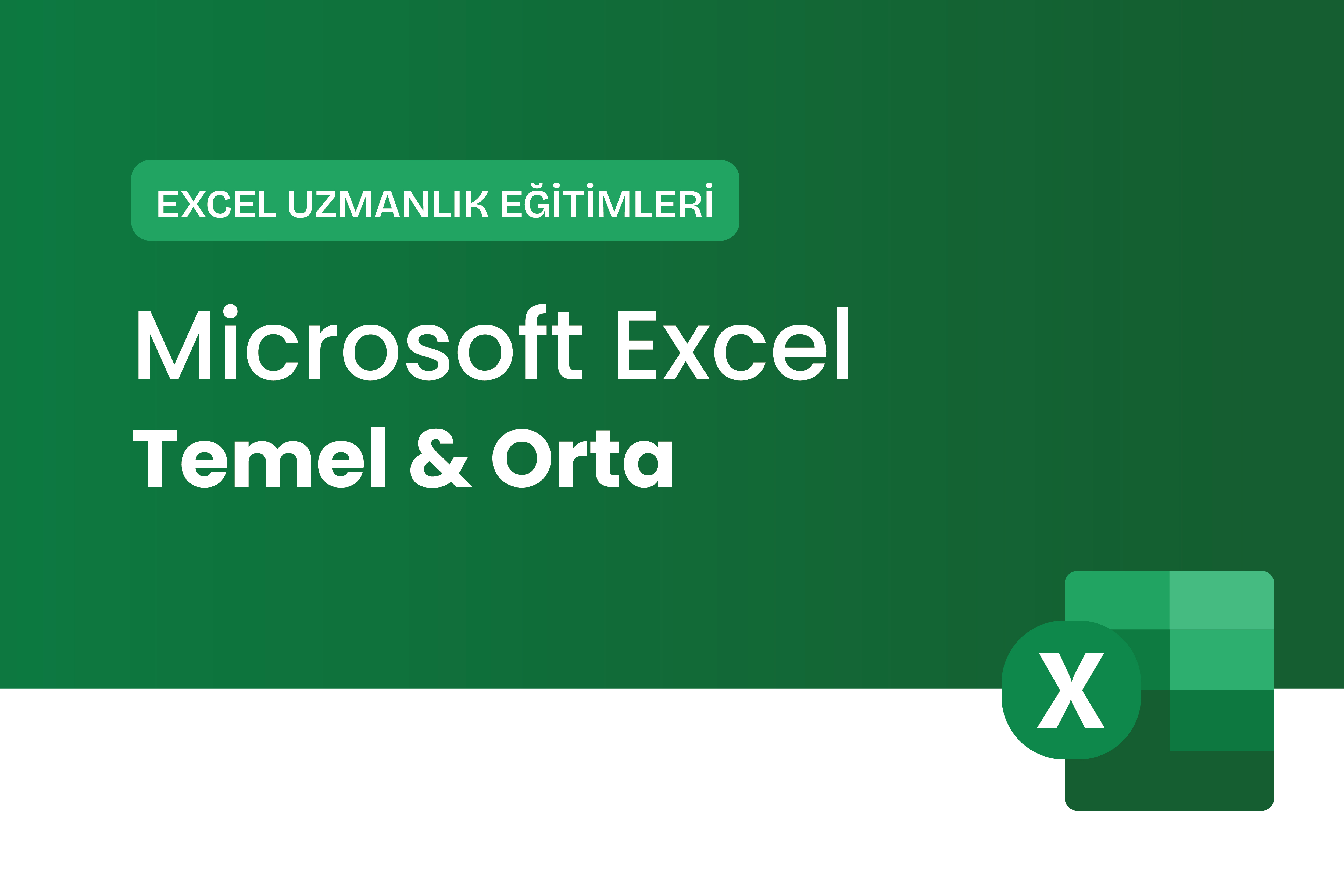 Microsoft Excel Temel & Orta Eğitimi	